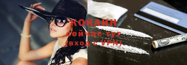 спайс Богородск