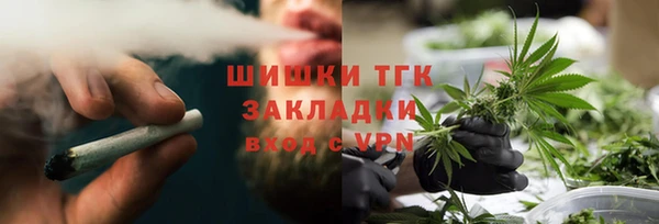 mdpv Богородицк