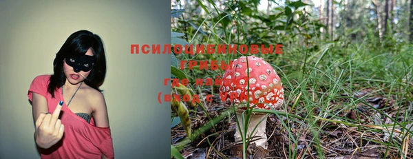 mdpv Богородицк