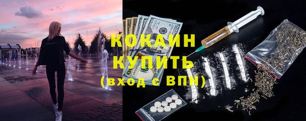 mdpv Богородицк